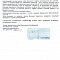 Скульптура кабинетная “Гривистый баран”